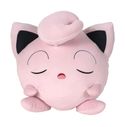 ak tronic Software & Services Jigglypuff f&uuml;r 45,46 Euro