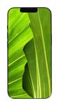#GOECO 256 GB 5G Smartphone 15,5 cm (6.1 Zoll) IOS 12 MP Dual Kamera Dual Sim  Apple iPhone 14 refurbished (Schwarz, Dunkelblau) f&uuml;r 548,00 Euro