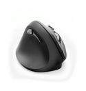 1800 DPI Büro Maus Optisch  182697 EMW-500L (Schwarz) 