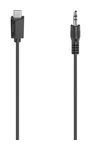 Stecker 3,5 mm Klinke auf USB C 0,75 m  200729 Audio-Kabel (Schwarz) 