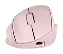 6000 DPI Haus Maus  720M (Pink) 