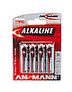 Alkali  Batterie (Schwarz/Grau) (Schwarz, Grau)