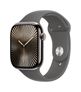 Digital 46 mm M/L Smartwatch Rechteckig IP6X 36 h 326 ppi 4G  Watch Series 10 (Titan) (Titan)