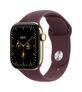 42 mm S/M Smartwatch Rechteckig IP6X 24 h 326 ppi 5G  Watch Series 12 (Gold) (Gold)