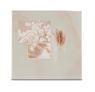Singo II (Beige)