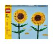 Sonnenblumen (Mehrfarbig)
