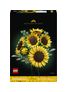 Sonnenblumen (Mehrfarbig)