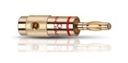 BANANA B1 (Gold)
