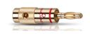 Banana B1 (Gold)