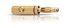Banana Pin B3 (Gold)