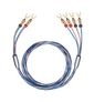 BI-TECH 4 L (Blau, Kupfer)