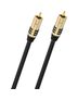 NF Sub (Schwarz, Gold)