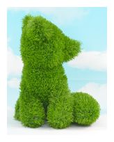 AniPlants 53252 f&uuml;r 35,99 Euro