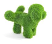 AniPlants 53276 f&uuml;r 36,99 Euro