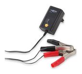 Ansmann ALCS 2-12 f&uuml;r 21,96 Euro