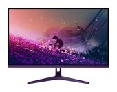 Arozzi Quad HD Monitor 80 cm (31.5 Zoll) 16:9 1 ms 300 cd/m²  Nova (Violett) f&uuml;r 279,00 Euro