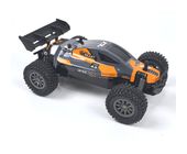 DF-Models Rookie Fighter Buggy f&uuml;r 19,99 Euro