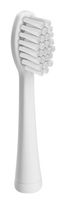 Eta Spare brush f&uuml;r 5,99 Euro