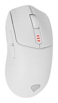GENESIS 10000 DPI Gaming Maus Optisch  Zircon 500 (Weiß) f&uuml;r 24,99 Euro