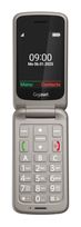 Gigaset 2G Smartphone 7,11 cm (2.8 Zoll) 0,3 MP Single SIM (Titanium silver) GL595 f&uuml;r 40,46 Euro