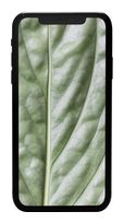 #GOECO 128 GB Smartphone 15,5 cm (6.1 Zoll) IOS 12 MP Dual Kamera  Apple iPhone 11 refurbished (Schwarz) f&uuml;r 278,96 Euro