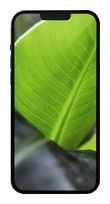 #GOECO 128 GB 5G Smartphone 17 cm (6.7 Zoll) IOS 12 MP Dreifach Kamera Dual Sim WiFi 6  Apple iPhone 13 Pro Max refurbished (Graphit) f&uuml;r 579,00 Euro