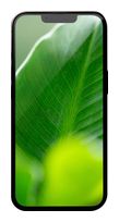#GOECO 256 GB 5G Smartphone 15,5 cm (6.1 Zoll) IOS 12 MP Dreifach Kamera Dual Sim  Apple iPhone 13 Pro refurbished (Graphit, Grau) f&uuml;r 568,00 Euro