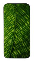 #GOECO Refurbished Smartphone - Apple iPhone 15 128GB black f&uuml;r 599,00 Euro