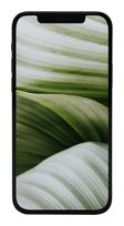 #GOECO 128 GB 5G Smartphone 13,7 cm (5.4 Zoll) IOS 12 MP Dual Kamera Dual Sim  iPhone 12 mini refurbished (Schwarz) f&uuml;r 256,96 Euro