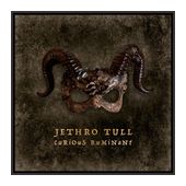 Jethro Tull - Curious Ruminant f&uuml;r 15,99 Euro