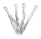 Konstsmide 1407-103 Mini-LED-Lichterkette f&uuml;r 5,99 Euro