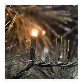 Konstsmide Micro LED 41840 mm 3613-800 f&uuml;r 40,96 Euro