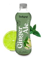 Sodapop Ginger Ale Sirup f&uuml;r 4,99 Euro
