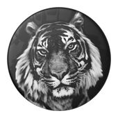 PopSockets Fingerring für Universal  PopGrip Fur Baby (Schwarz, Weiß) f&uuml;r 12,99 Euro