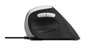 Rapoo 1600 DPI Büro Maus Optisch  EV200 (Schwarz, Silber) f&uuml;r 16,99 Euro
