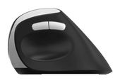 Rapoo 1600 DPI Büro Maus Optisch  EV250 (Schwarz, Silber) f&uuml;r 19,46 Euro