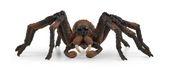 Schleich 13987 Wizarding World Aragog f&uuml;r 23,42 Euro