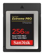 Sandisk Extreme Pro Kompaktflash Speicherkarte 256 GB für 662,00 Euro