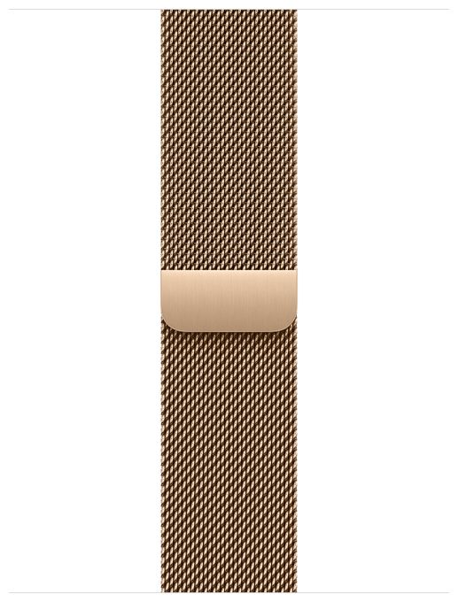 Armband  Apple Watch Models 38mm 40mm 41mm  MAXL4ZM/A (Gold) 