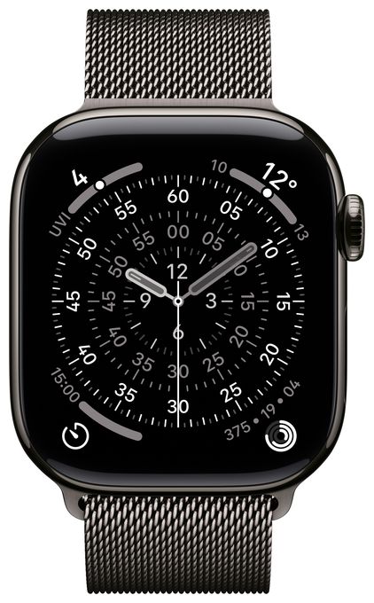 Armband  42 mm Apple Watch 38/40/41/42mm  MGJ14ZM/A (Schieferfarben) 
