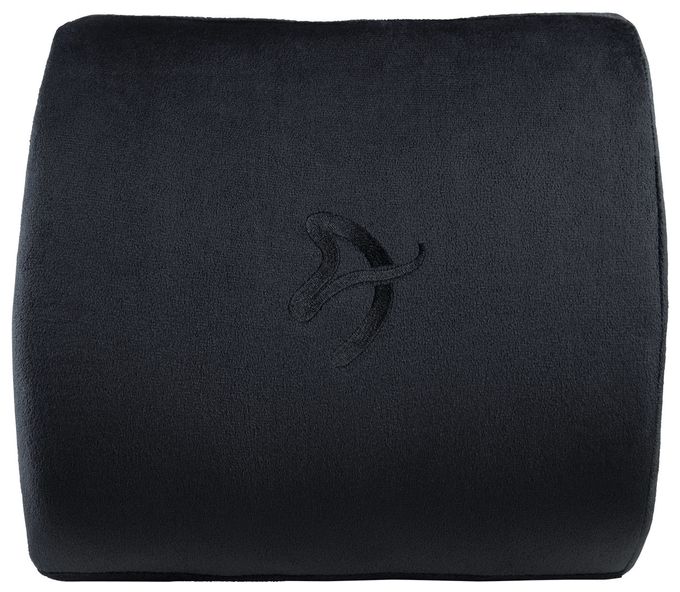 Lumbar Support 
