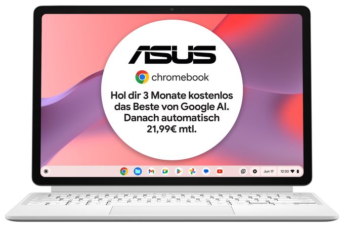 WUXGA Notebook 30,7 cm (12.1 Zoll) 1600 x 2560 Pixel 8 GB Ram 128 GB eMMC ChromeOS MediaTek Kompanio max. 2,6 GHz  Chromebook CM3206DM4A-TR0076 (Titan) 
