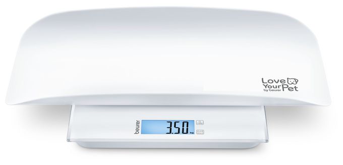 PP 170 Polly 