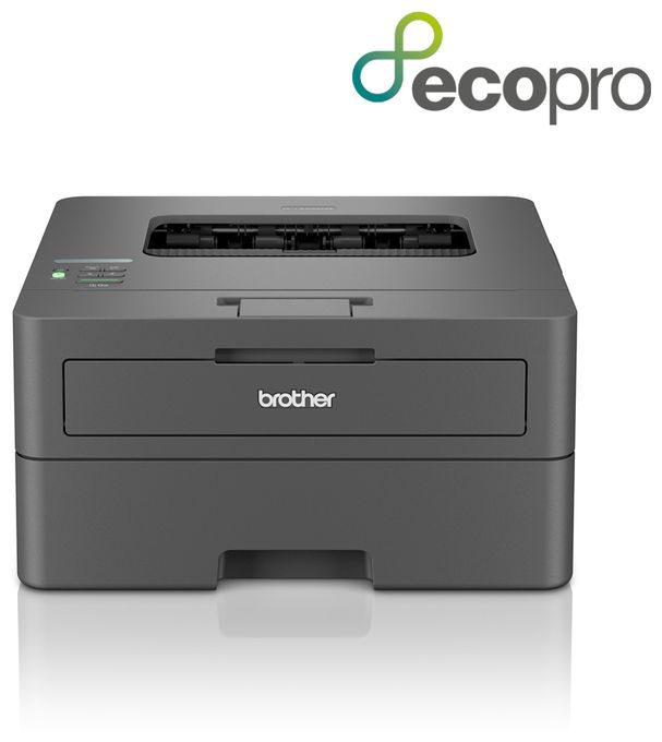 A4 Laser Drucker 1200 x 1200 DPI 30 Seiten pro Minute HL-L2400DWE 