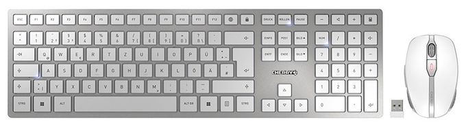 Universal Tastatur RF Wireless + Bluetooth 2.4 - 2.4835 GHz  DW9100 Slim (Silber) 