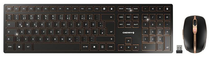 Universal Tastatur RF Wireless + Bluetooth 2.4 - 2.4835 GHz  DW9100 Slim (Schwarz) 