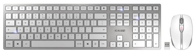 Universal Tastatur RF Wireless + Bluetooth 2.4 - 2.4835 GHz  DW9100 Slim (Silber) 