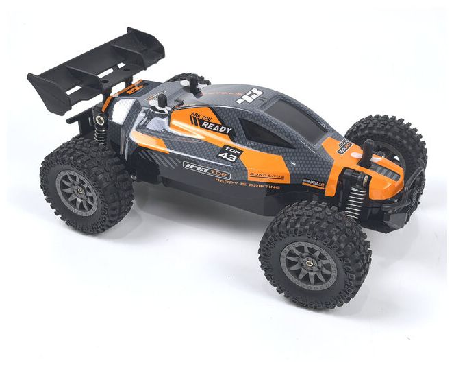 Rookie Fighter Buggy 