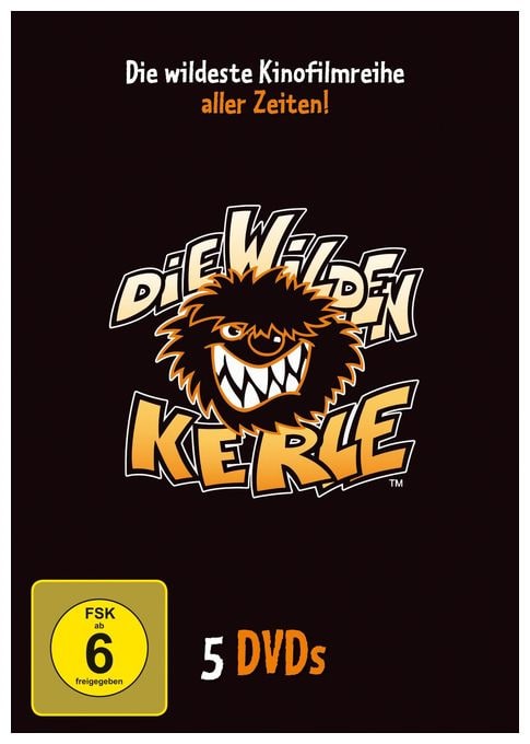 Die Wilden Kerle 1-5 Sammelbox (DVD) 