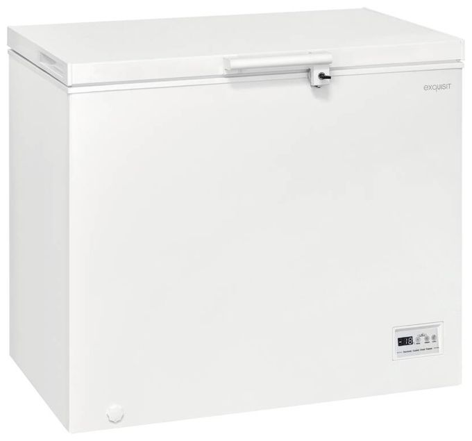 Tiefkühltruhe Freistehend 172 kWh Jahr GT250-HE-040D 